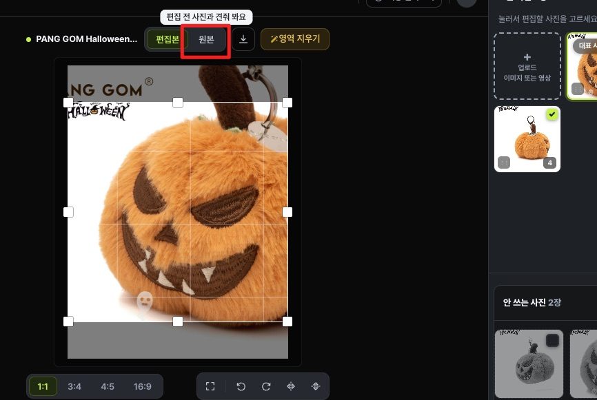 원본 보기 버튼